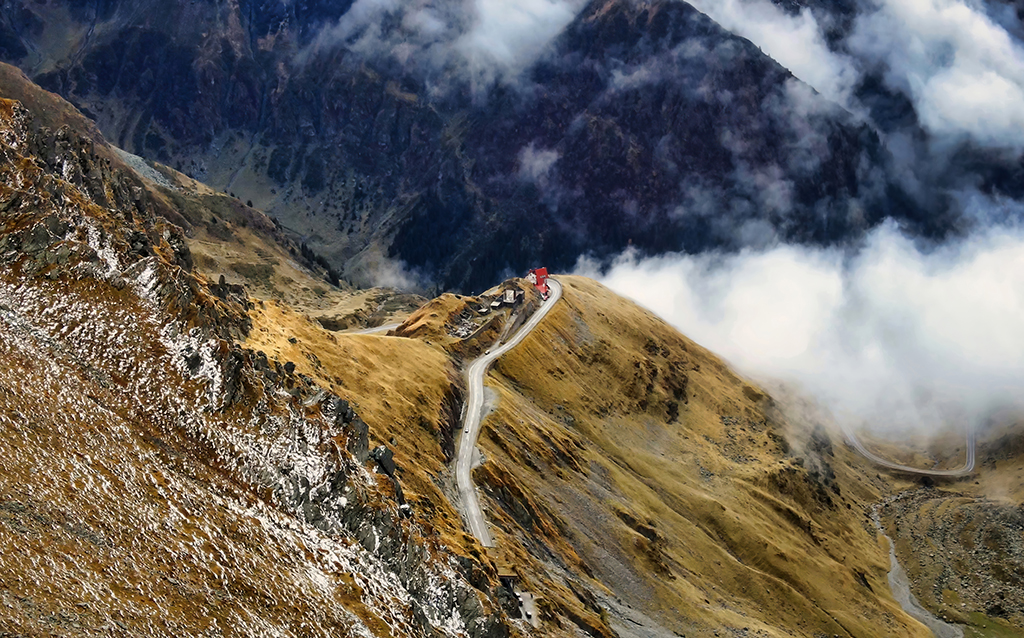 Sikkim & North Bengal