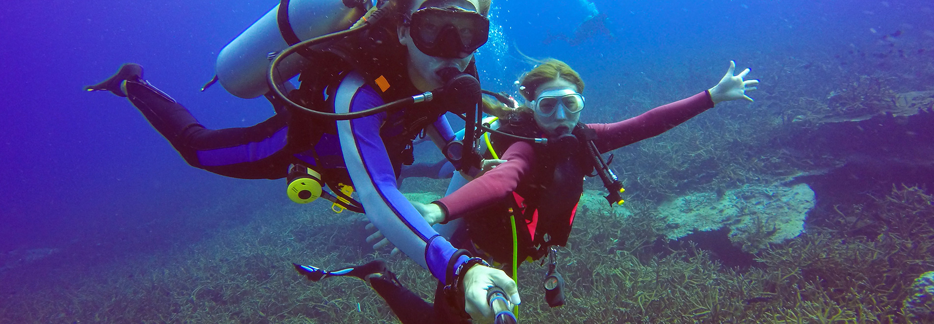 Best budget-friendly tour package - Underwater Adventure